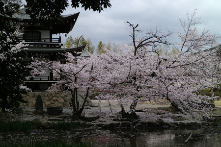 勧修寺 (11)