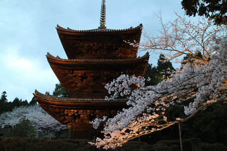 三井寺（園城寺） (8)