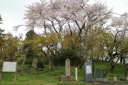 小丸城