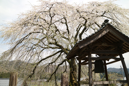 法華寺 (2)