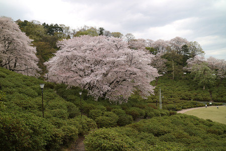 西山公園 (1)