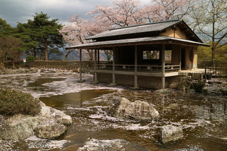 西山公園 (2)