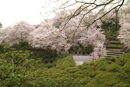 西山公園 (5)