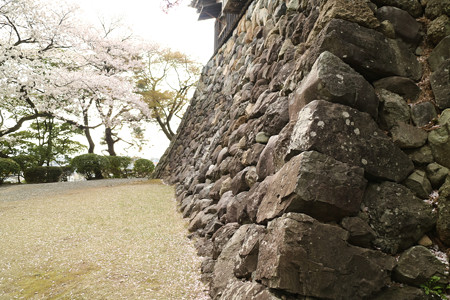 丸岡城 (2)
