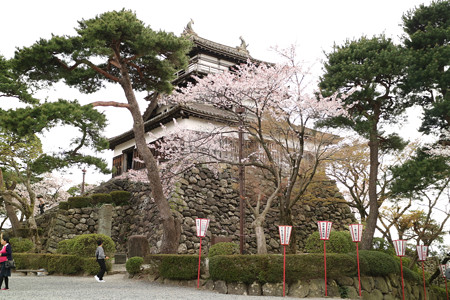 丸岡城 (3)