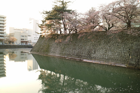 福井城 (8)