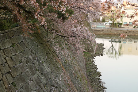 福井城 (16)