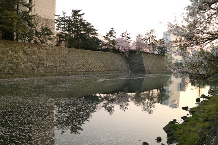 福井城 (17)