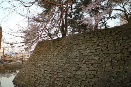福井城 (20)