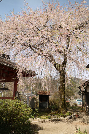 長岳寺 (8)