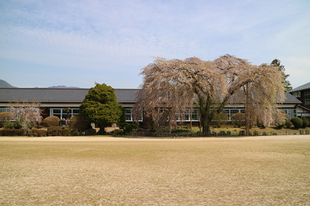 杵原学校 (4)