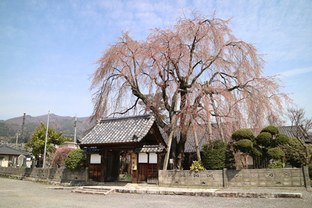 増泉寺