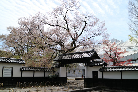 飯田市美術博物館 (2)