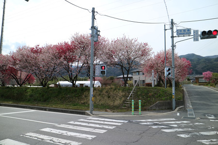洞頭城