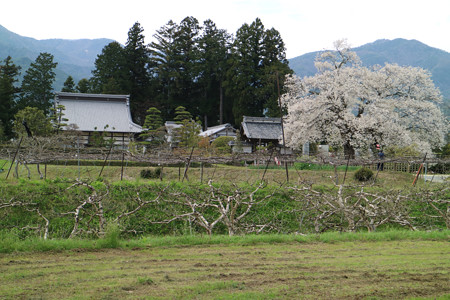 松源寺