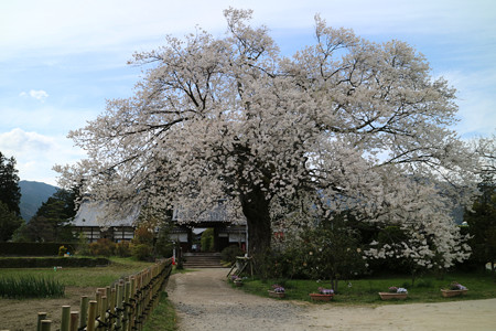 松源寺 (1)