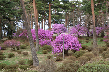 千人塚公園 (1)