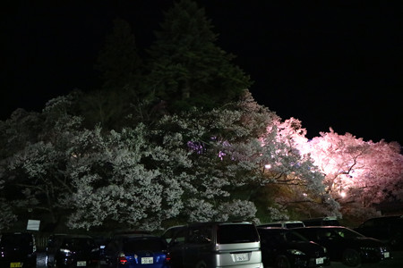 高遠城址公園 (1)