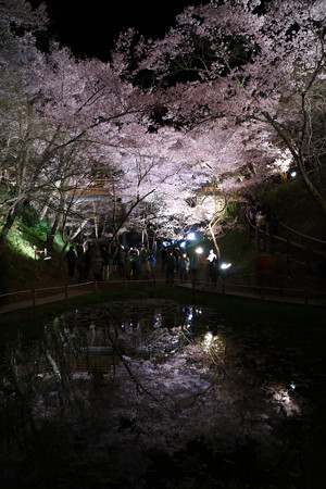 高遠城址公園