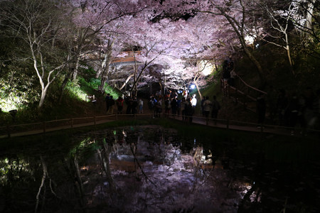 高遠城址公園 (6)