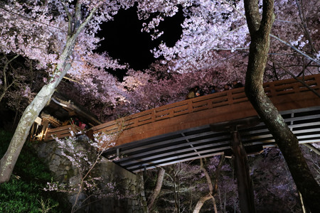高遠城址公園 (8)