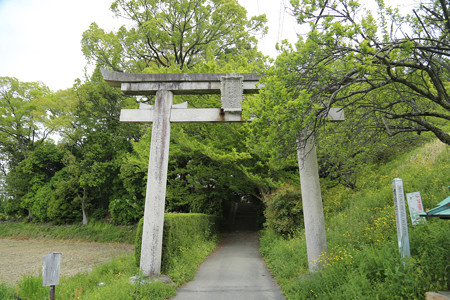 夜都伎神社