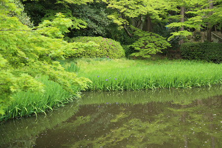 長岳寺