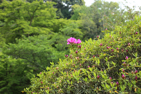 長岳寺 (9)