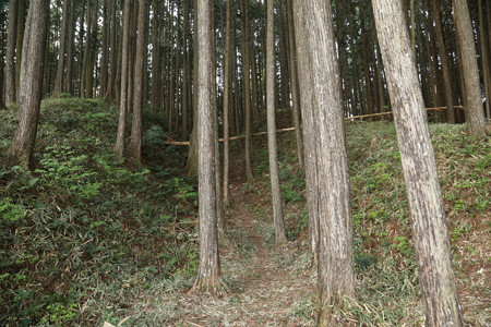 古宮城 (8)
