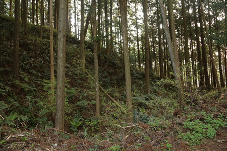 古宮城 (11)