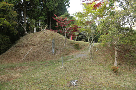 亀山城 (8)