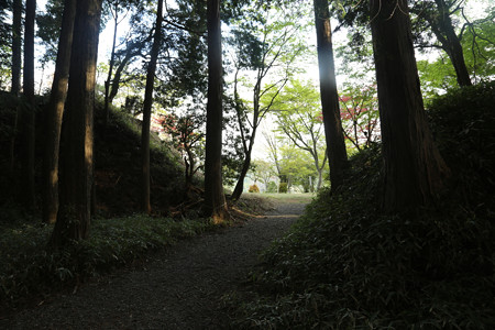 亀山城 (9)