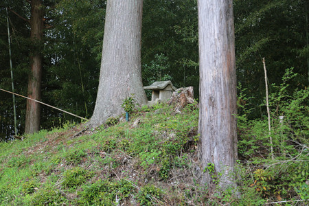 石橋城 (2)