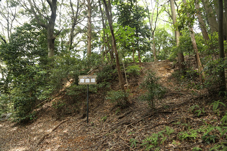 千頭峯城 (1)