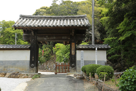 摩訶耶寺 (5)