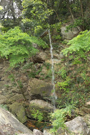 摩訶耶寺 (6)