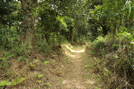 宇津山城