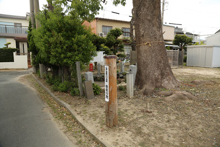 鎌研ぎ池 (3)