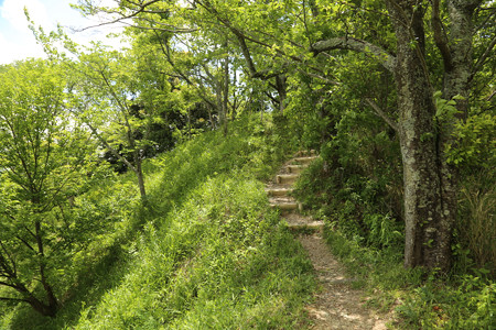 陣場峠 (4)