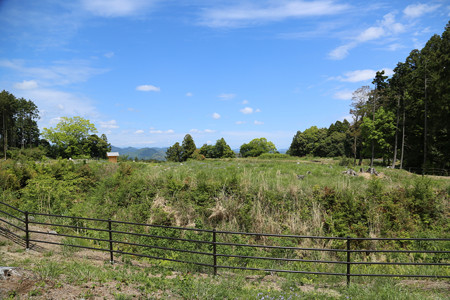 諏訪原城 (4)