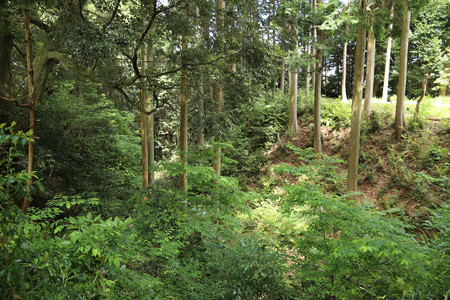 諏訪原城 (10)