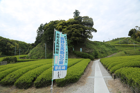 左馬武神社（新野左馬助親矩の墓）