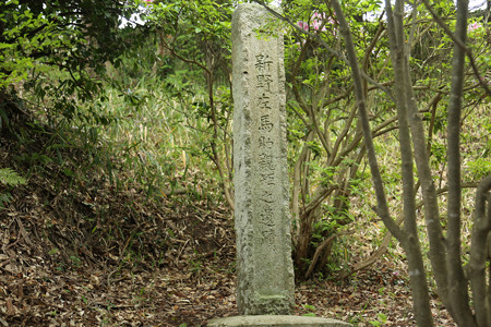 左馬武神社（新野左馬助親矩の墓） (5)