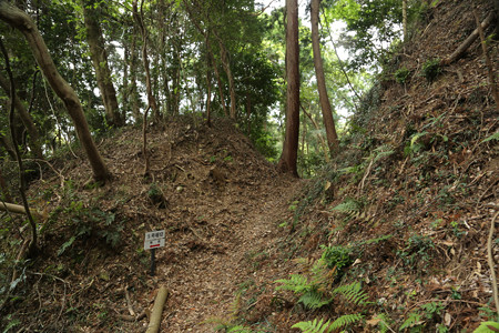 舟ヶ谷城 (9)