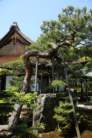 大覚寺 (9)