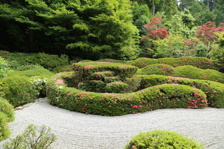 大池寺 (1)