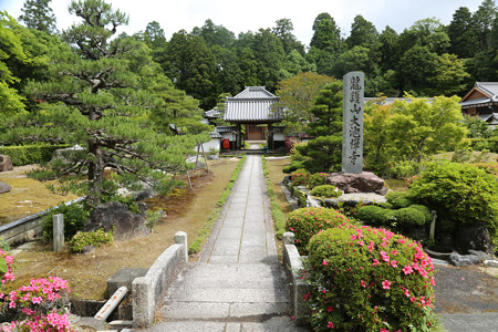 大池寺 (2)