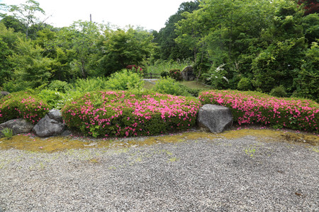大池寺 (3)