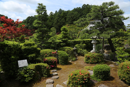 大池寺 (5)
