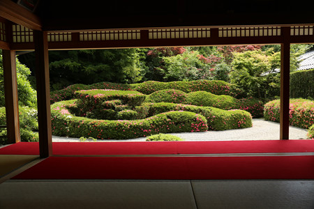 大池寺 (7)